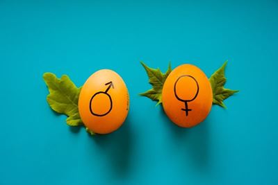 Sex Education in South Africa—What You Need to Know