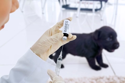 Vaccination a must for animals