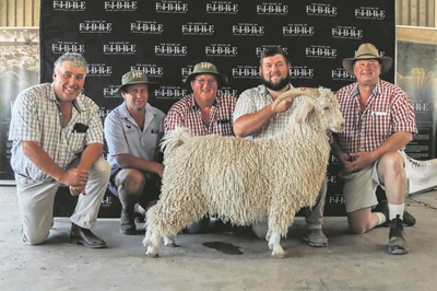 Angora veiling lewer uitstekende pryse