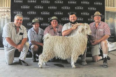 Angora veiling lewer uitstekende pryse