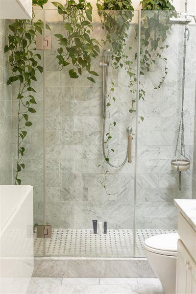 Steam your home to a more hygienic and allergy-free space