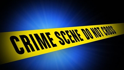 Local crime snippets