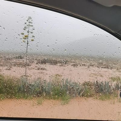 Noupoort nat, Graaff-Reinet droog