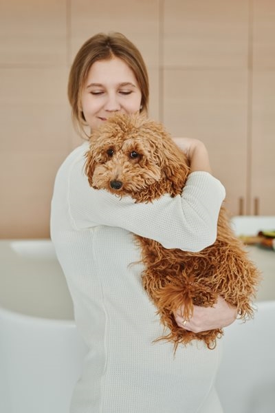 Get your pet’s tail wagging 
