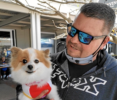 World Animal Week: support SPCA