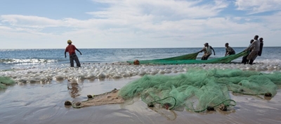 Fisheries sustainability top agenda at WTO meeting