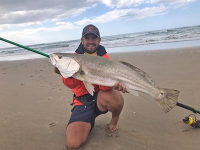 Stilbaai woeker met die blinklywe