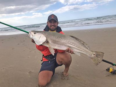 Stilbaai woeker met die blinklywe