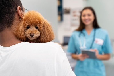 Steenhuisen announces establishment of new South African Veterinary Council