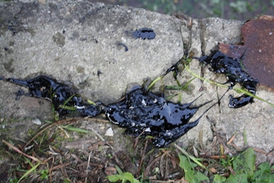 Update: Sticky gunk in water canal
