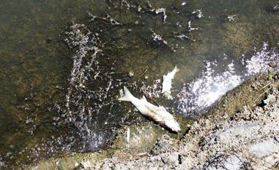 Opvolg: Rivier se toestand wek kommer