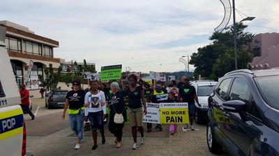 Plett demands FCS unit