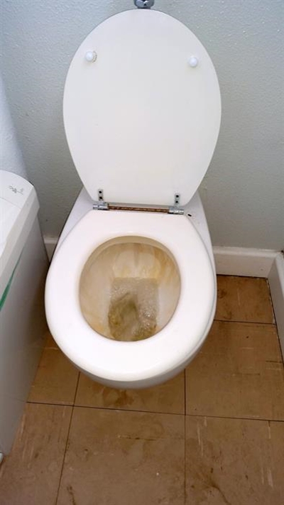 Taxpayers’ money down one toilet