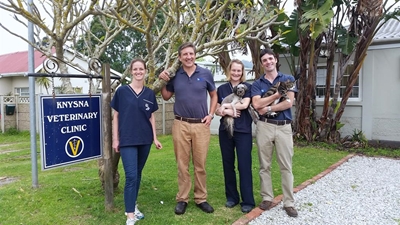 Knysna’s oldest animal hospital turns 45