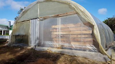 Prototype solar drying kiln at wood festival