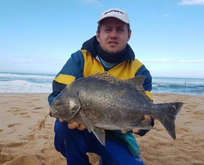 Stilbaai hengel vyfde posisie los