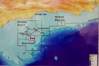 Parlement vies oor PetroSA-kwessies
