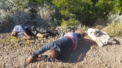 Suspects caught red-handed in Brenton