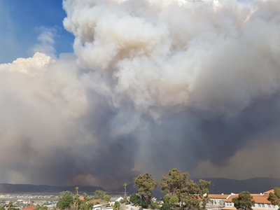 Fires: Spontaneous combustion or negligence?