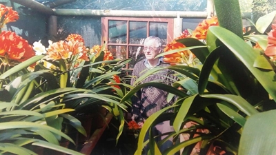 Clivia-diewe slaan weer toe