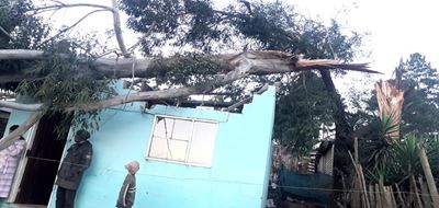 Wind and fires cause havoc in George and Southern Cape 