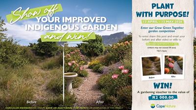 Western Cape to benefit from CapeNature’s 2026 Greening Initiative