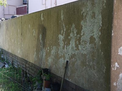 Conditions at Curlew Court under fire