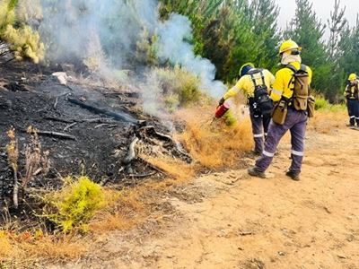 Fire season leaves mark across Garden Route