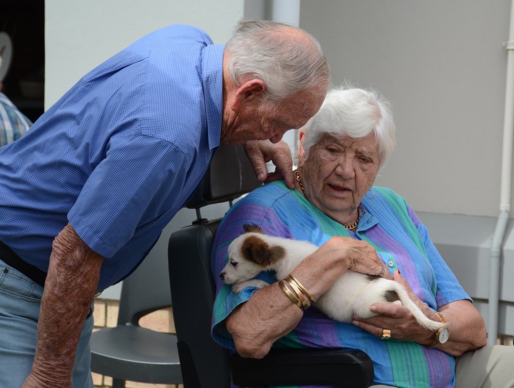 Pet day at Groenkloof
