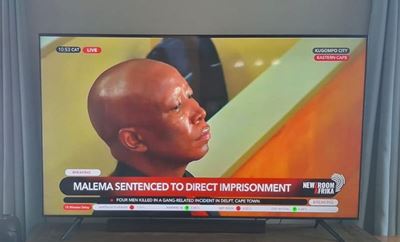 Jail time on hold for Malema as EFF leader’s appeal granted