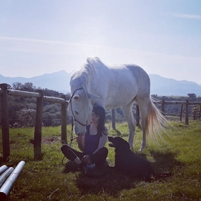 Make a wish for Nightwish: Help save beloved Wilderness family horse suffering from cancer  