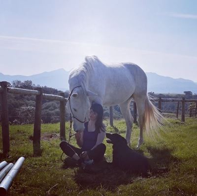 Make a wish for Nightwish: Help save beloved Wilderness family horse suffering from cancer  