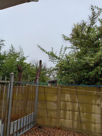 Dankbare harte oor welkome Paasreën in Riversdal