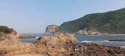 Calling all roadies! Garden Route is best road trip in the world 