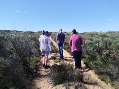 City Nature Challenge draws South Africans outdoors for Global BioBlitz
