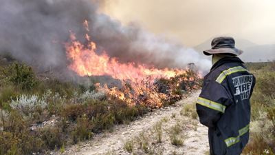 Western Cape fire season shows record early intensity and significant increase in fire activity
