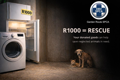 The Garden Route SPCA needs your old furniture to save lives