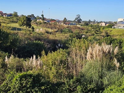Plant expert warns against pampas grass scourge