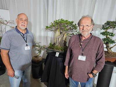 Bonsai enthusiasts converge in George