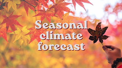 SAWS releases seasonal climate forecast