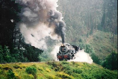 Could the Choo Tjoe steam again?