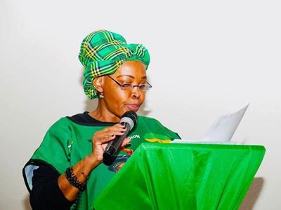 McKenzie accused of ducking Parly as Gauteng speaker faces R5.9m trip heat