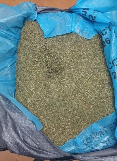 Police crack down on drugs and illegal liquor in Prince Albert and Dysselsdorp