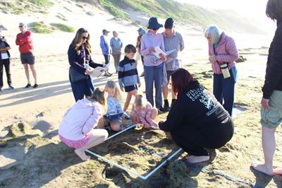 Exploring marine conservation