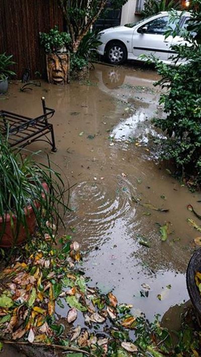 Sewage damage claim rejected