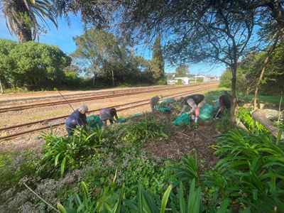 Station Garden green and clean