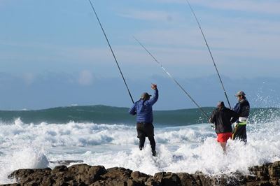 Galjoen-derby lok 340 hengelaars na Stilbaai
