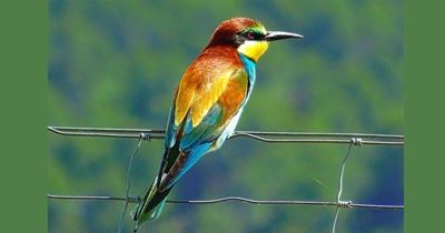 SANParks announces free access dates for national parks in September