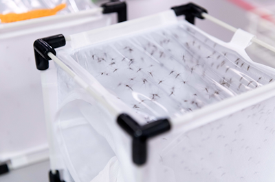 10 things you probably didn’t know about mosquito laboratories