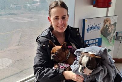 When your pet needs expert care, Vitalvet Mossel Bay is here to help
